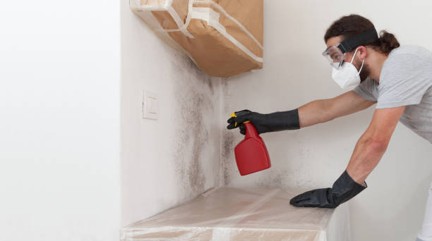 Professional Mold Remediation technician working in Franklin, VA