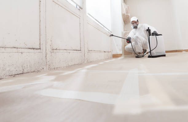 24/7 Emergency Mold Remediation experts in Franklin, VA