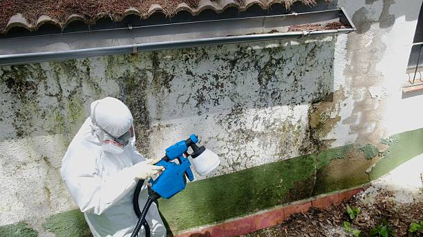 Top rated local Mold Remediation specialists in Franklin, VA